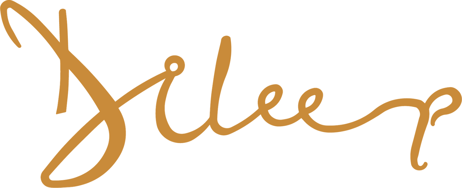 Dileep Industries logo